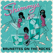 Brunettes On The Rocks