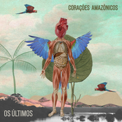 Corações Amazônicos