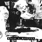 Militant Don - Single