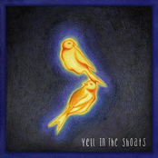 The Wild Shoats: Yell In The Shoats