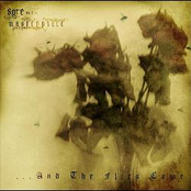 ...and The Flies Came