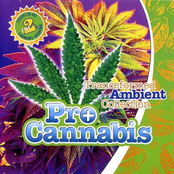 Pro Cannabis (Tranceformed Ambient Collection)