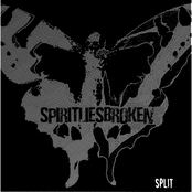 Systems Victims split
