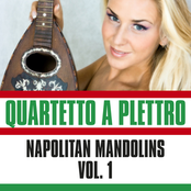 Napolitans Mandolins, Vol. 1