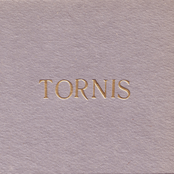 Tornis: 20 gadi, 20 dziesmas