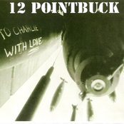 12 pointbuck