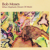 Disappearing Blues by Bob Moses