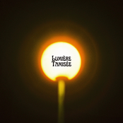 Lumière Tamisée