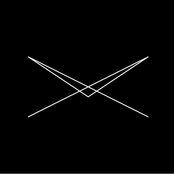 Everyone Was A Bird - Remixed