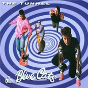 The Tunnel by The Blue Cats
