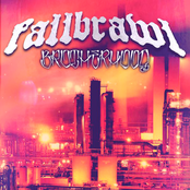 Born To Win by Fallbrawl