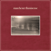 Auge e Declínio (2013-2023)