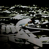 THE BEAUTIFUL WORLD NEVER DIES