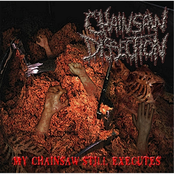 My Chainsaw Still Executes