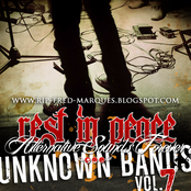 Unknown Bands Vol. 7