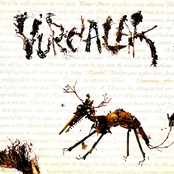 Rocksupplies 09-02-2009