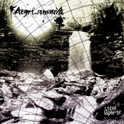 Aegri Somnia