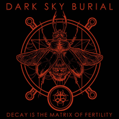 Decay is the Matrix of Fertility