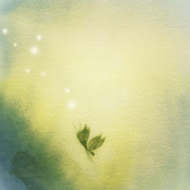 Hide and Seek (feat. kimminseong)