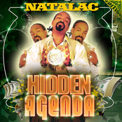 Hidden Adjenda (Radio Edit)