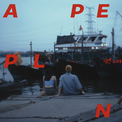 Paper Plane