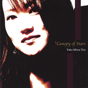 Yoko Miwa: Canopy of Stars