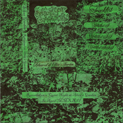 Rehearsal at Alice's Garden