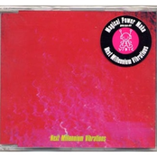 Next Millennium Vibrations