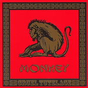 Voice Of America by Monkey