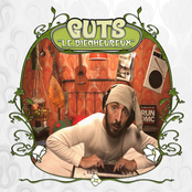 Skunkfunk by Guts