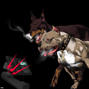 Dem Callin' (feat. Playboi Carti)