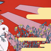 Evergreen, Maroon Too