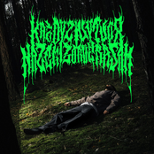 každý živý tvor na zemi zomiera sám