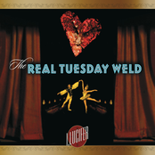 Coming Back Down To Earth by The Real Tuesday Weld