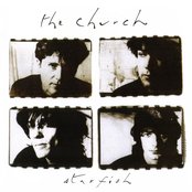 The Church - Starfish Artwork