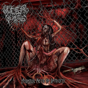 Heinous Acts of Iniquity - Single