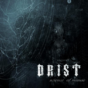 Stop The Loss by Drist