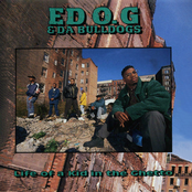 Feel Like A Nut by Ed O.g. & Da Bulldogs