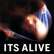 Earthquake Visions (feat. Max Martin)