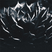 Undeserving - Single