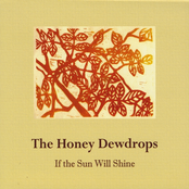 Wandering Boy by The Honey Dewdrops