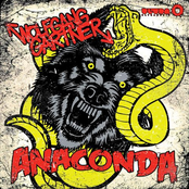 Anaconda by Wolfgang Gartner