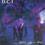 You're Only as Blind as Your Mind Can Be