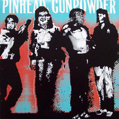 Anniversary Song by Pinhead Gunpowder