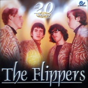 The Flippers