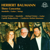 Three Concertos
