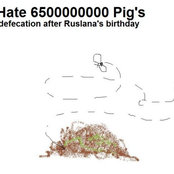 i hate 6500000000 pig's