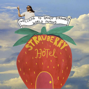 Strawberry Hotel