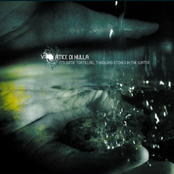 I Am with Tortillas, Throwing Stones in the Water