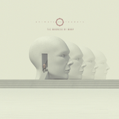 Animals As Leaders: The Madness Of Many